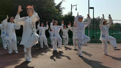 中老年健身太极通络操_3840x2160_高清视频素材下载