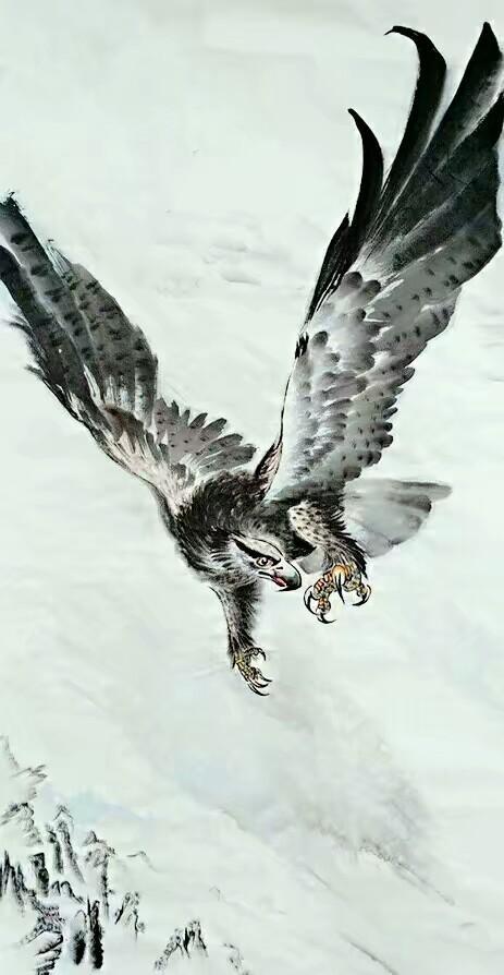 最霸气的鹰图片素描