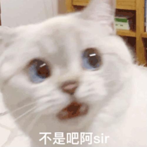 求求一个像05 表示惊讶震惊的表情包(已找到)