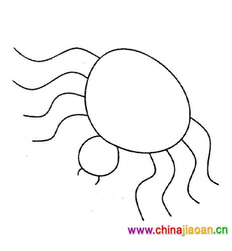 昆虫简笔画:大肚子蜘蛛