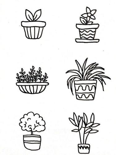 盆栽植物花盆简笔画手抄报手账都可以用