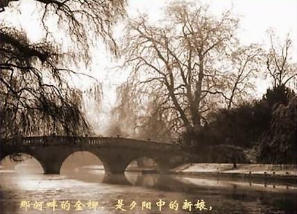 但我不能放歌,悄悄是别离的笙箫; 夏虫也为我沉默,沉默是今晚的康桥
