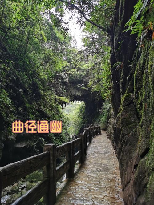 武隆龙水峡地缝景区_景点_武隆喀斯特旅游区_风景_隧道_龙水峡地缝