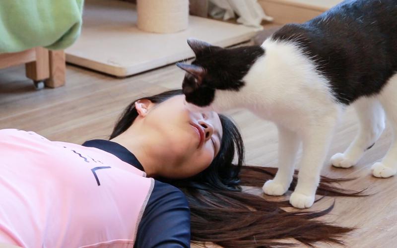 人猫实验:把猫薄荷香水喷满全身,然后装死,猫咪会来吸我吗?