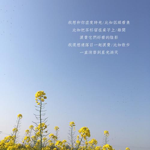 生命就该浪费在美好的事物上