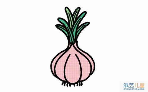 看起来长的非常可爱的大蒜植物花简笔画步骤图片