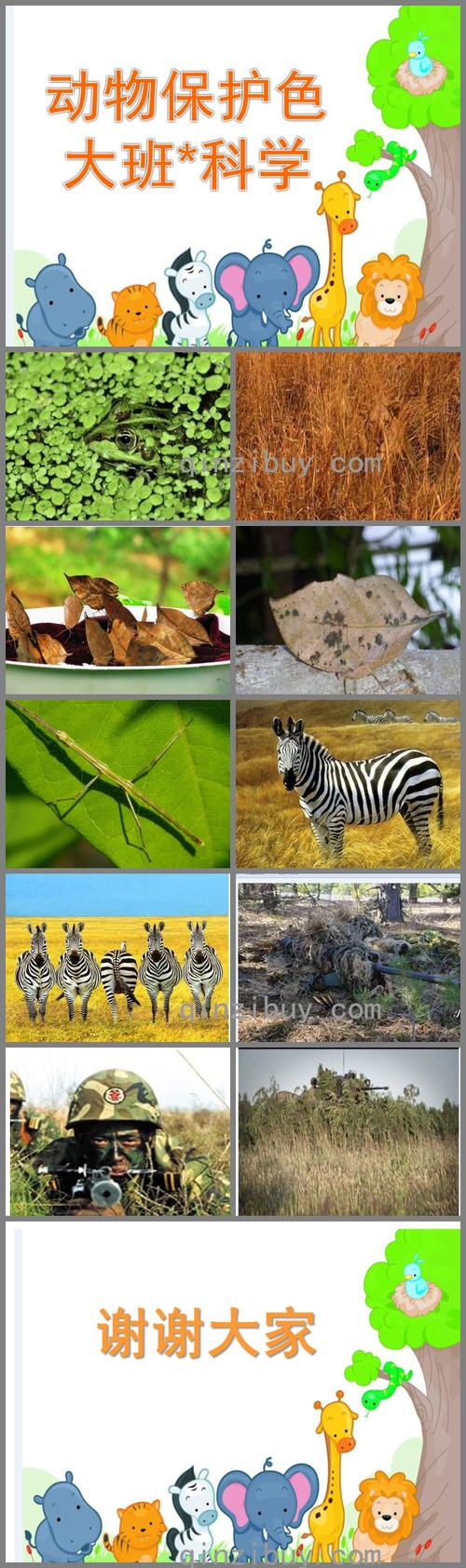 大班科学优质课动物保护色ppt课件