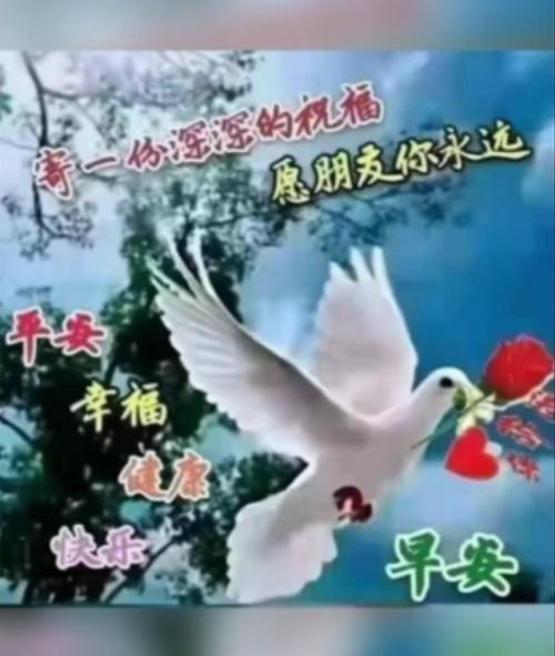 早安问候语经典之十五