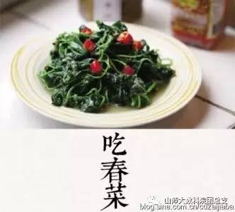 春分|燕子来时,陌上花开