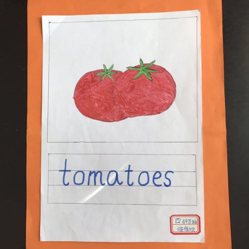 四年级英语个性单词卡设计比赛