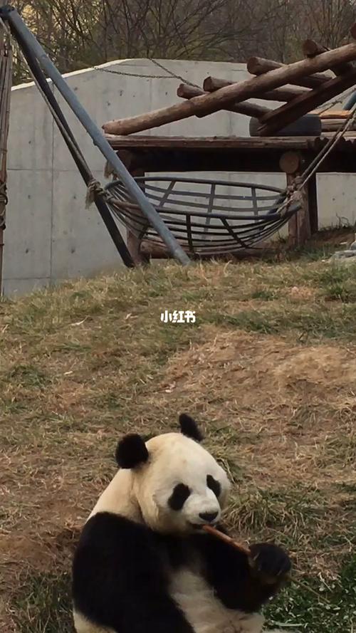 保定生态园里的小小动物园～_动物园_出行_传统景点