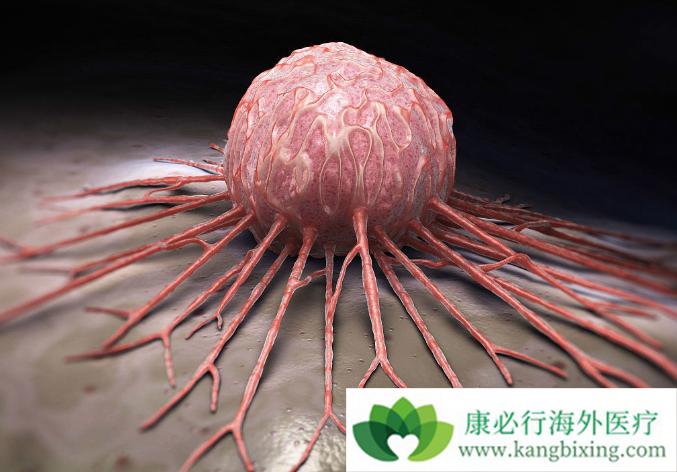 良性肿瘤与恶性肿瘤的区别大吗?恶性肿瘤是否没得治?