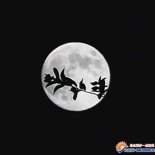 十五的月亮十六圆明月寄相思今晚月更圆图
