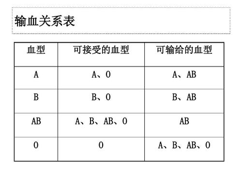 输血与血型ppt