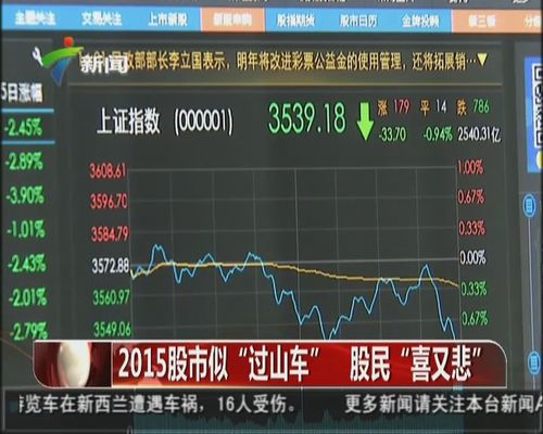 2015股市似"过山车" 股民"喜又悲"