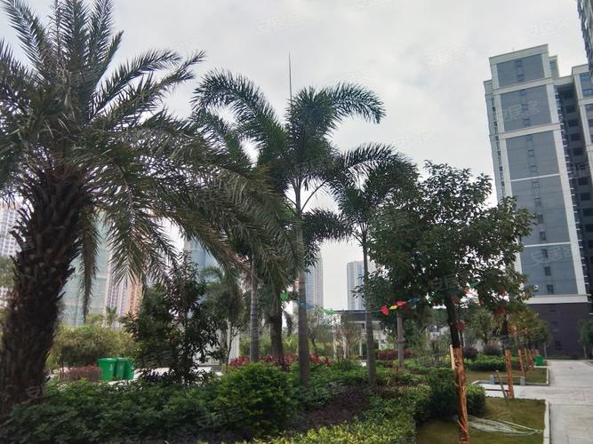 钦江华府,富民路69号-钦州钦江华府二手房,租房,房价-钦州安居客