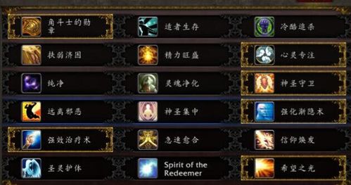 所以第一层天赋都是拿来强化这个章的.