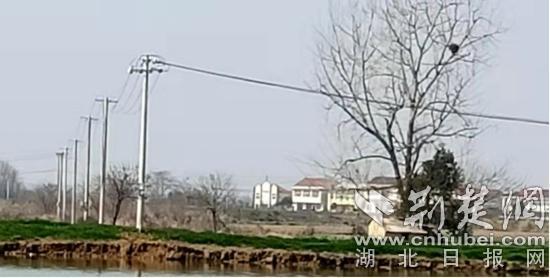 大冶东风农场办好开门一件事迈好履新第一步