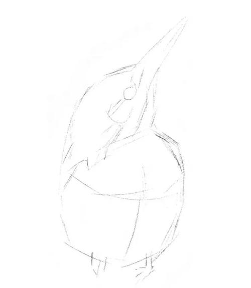 教你素描画一只超萌小翠鸟