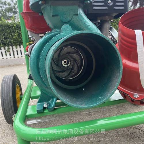 框架式汽油抽水泵 农用浇灌6寸取水机 高压泥浆自吸泵