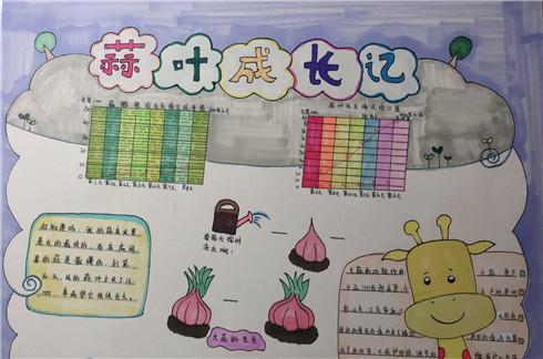 二年级最简单的综合实践手抄报 最简单的手抄报