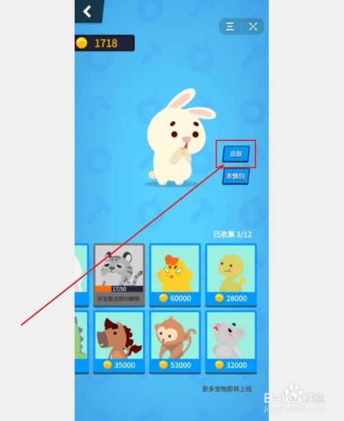 生肖派对如何获取生肖宠物及其皮肤