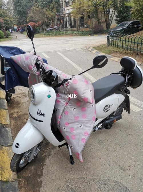 立马电动车_电动车_骑车_汽车_摩托车