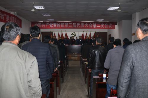 中共罗岭镇第三届代表大会第二次会议隆重召开