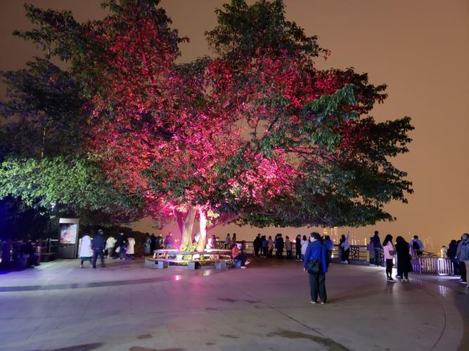 南山一棵树观景台是观看重庆夜景的最佳地点,而公园夜色也很迷人.