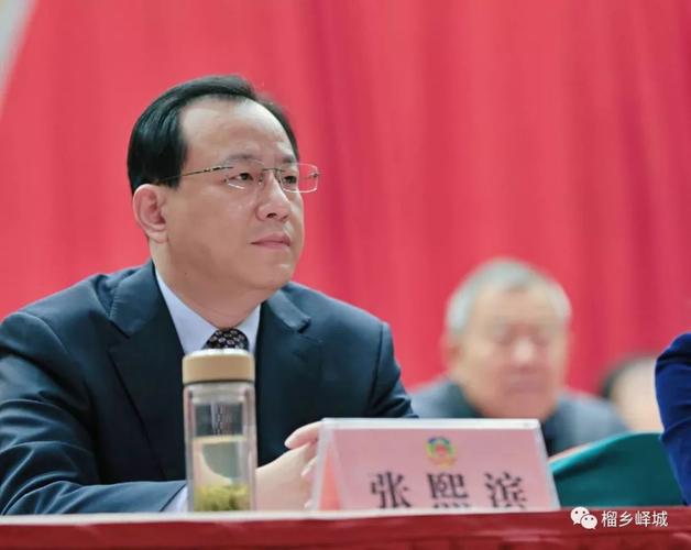 区委副书记,区长张熙滨出席会议