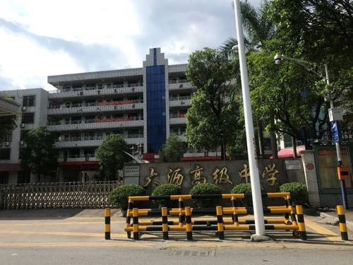 八校环绕!大沥"陪读房"不缺学位!却有四大短板?