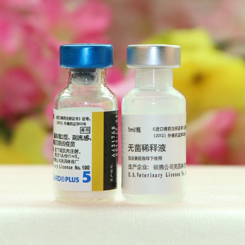 正品行货美国辉瑞卫佳5卫佳伍犬用四联疫苗 新包装 批发特价1天