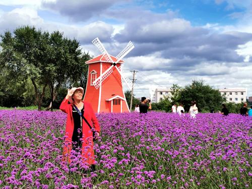 天南地北众姊妹之黑河花海篇