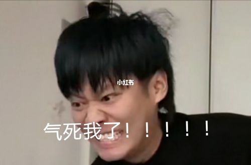 疯狂小杨哥表情包_表情包_表情包分享_素材_表情包