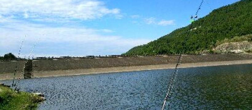 石滩水库_四川省南充市石滩水库钓鱼点评 - 钓场