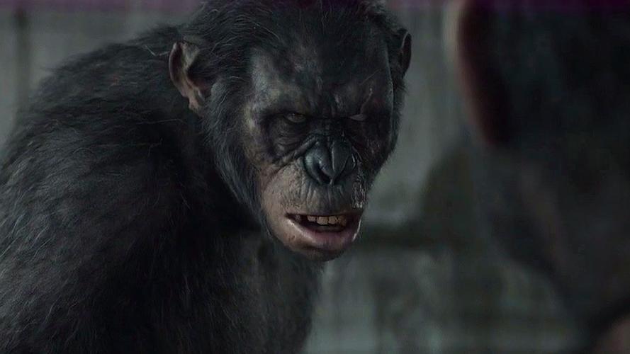 《猩球崛起》三部曲10个视频!人猿大战,这场面前所未有!10个视频