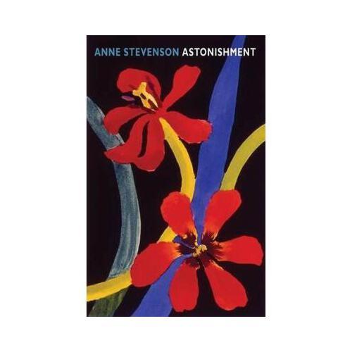 【预订】astonishment