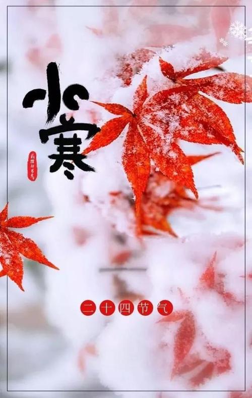 今日小寒送上小寒节气祝福图片祝大家健康喜乐财运滚滚