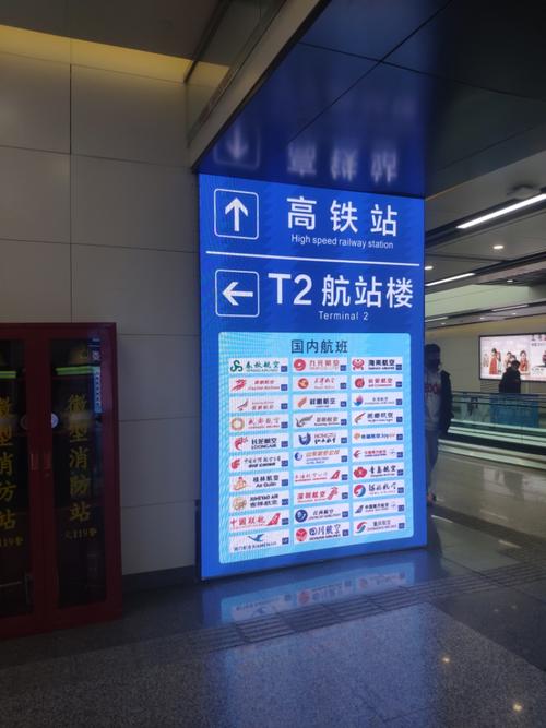 几乎都是t2航站楼,各家航班指示牌