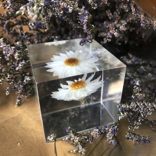 干花永生花植物小雏菊标本滴胶树脂成品迷你榉木十字架置物架礼物