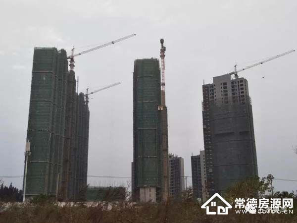 五洲东岸-临澧县五洲东岸-常德房源网