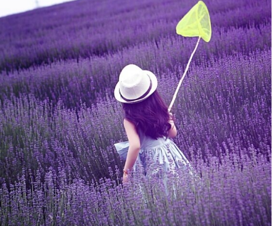 连背影都是那么美美哒