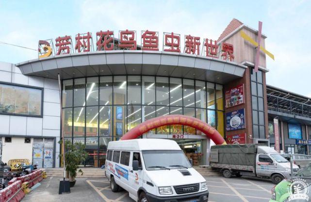 芳村花鸟鱼虫市场!你好,芳村花鸟鱼虫新世界