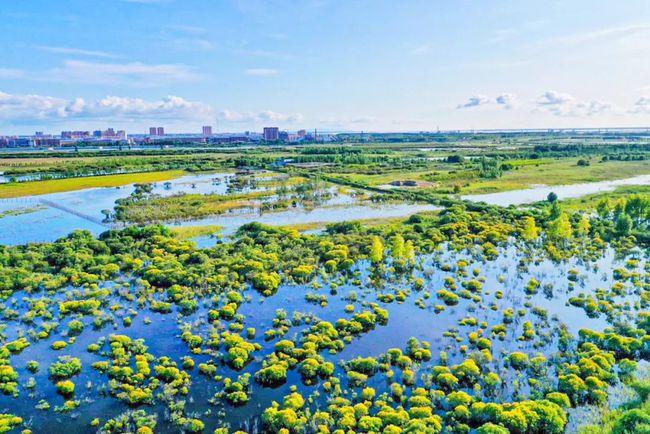 绿色的畅想——同江市三江口国家湿地公园印象