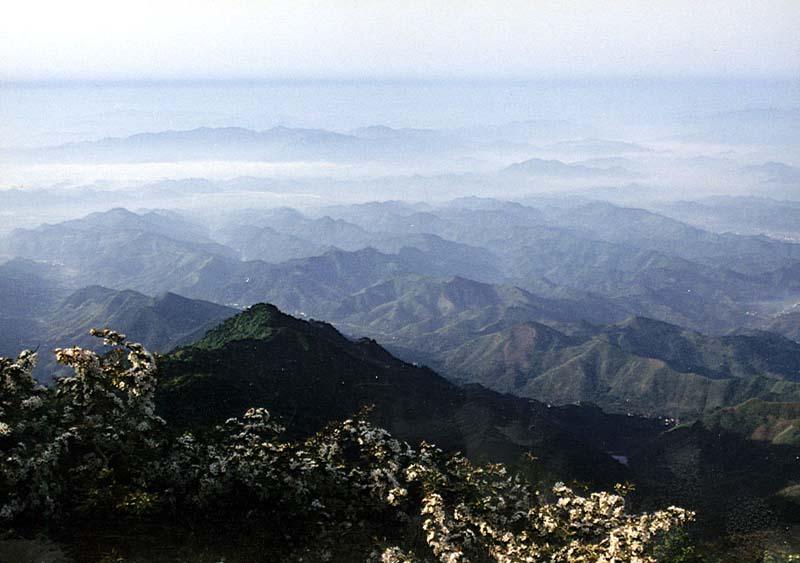  p>西天目山是国家级森林和野生动物类型的自然保护区,位于杭州临安31