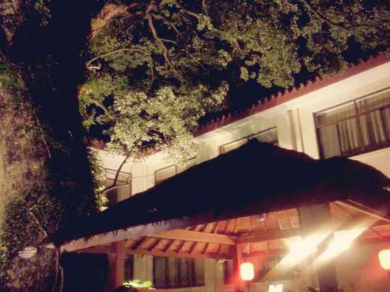 普陀山雷迪森庄园预订,普陀山雷迪森庄园酒店价格