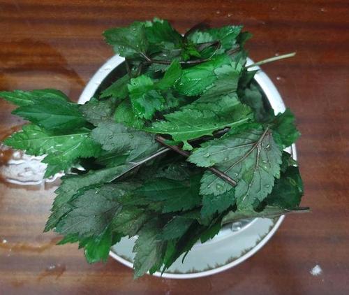 珍珠菜生滚猪肉汤