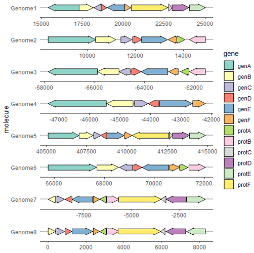 r语言gggenes在基因组中画基因箭头图