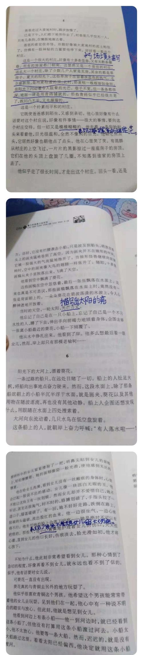 金燕四一,共读一本书《青铜葵花》第二章5,6小节