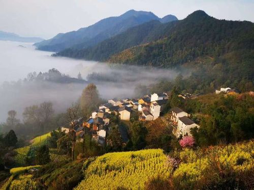 方建英的家乡在安徽